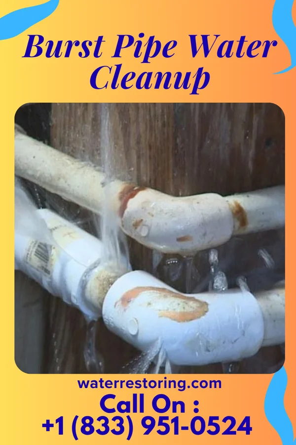 Burst Pipe Water Cleanup in Michie, TN