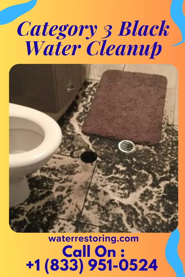 Category 3 Black Water Cleanup in Michie, TN