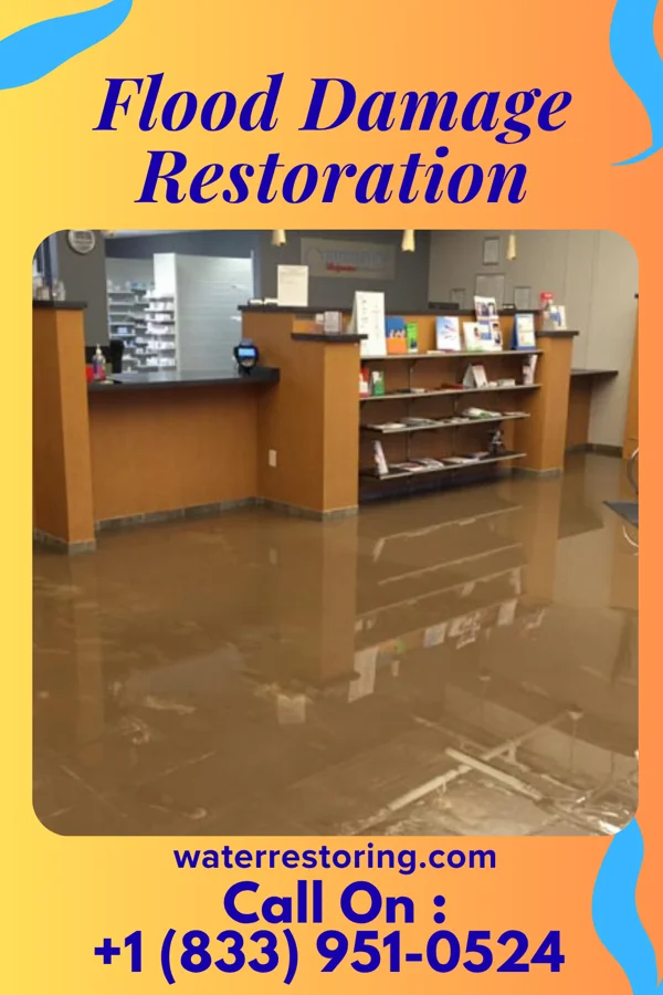 Flood Damage Restoration in Michie, TN