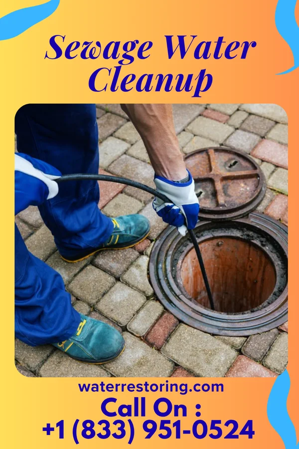 Sewage Water Cleanup in Michie, TN