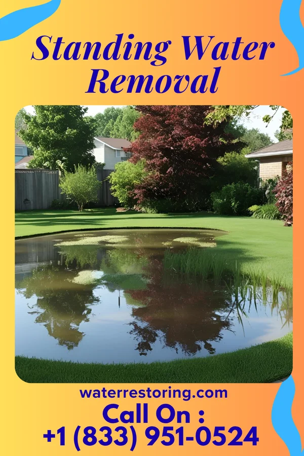 Standing Water Removal in Michie, TN